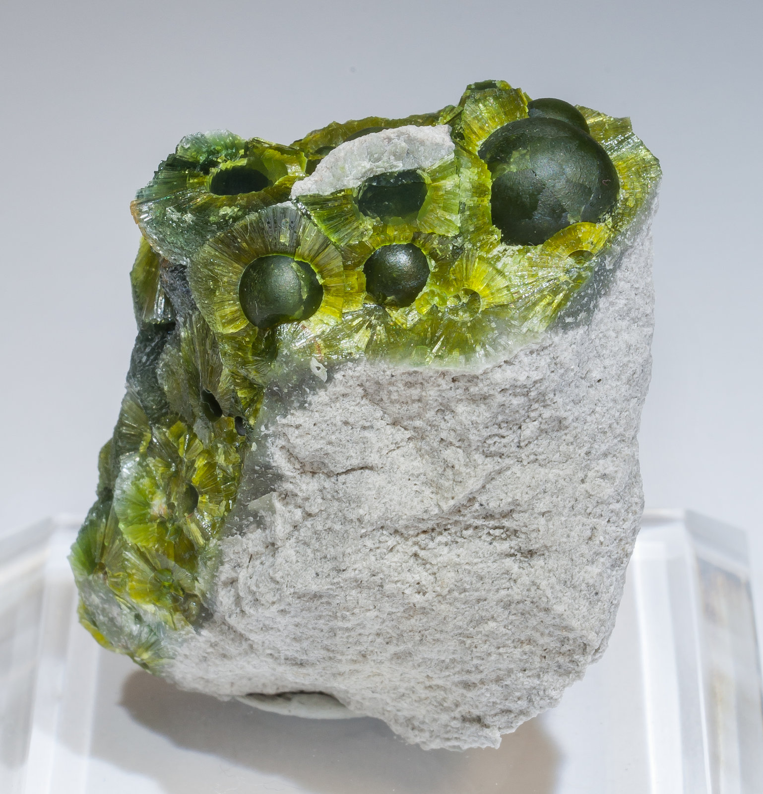 specimens/s_imagesAM2/Wavellite-HF11AM2f.jpg