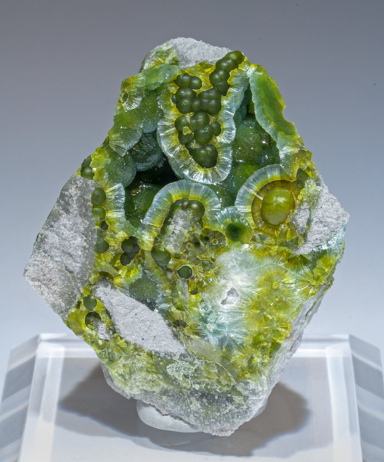 specimens/s_imagesAM2/Wavellite-HG12AM2f.jpg