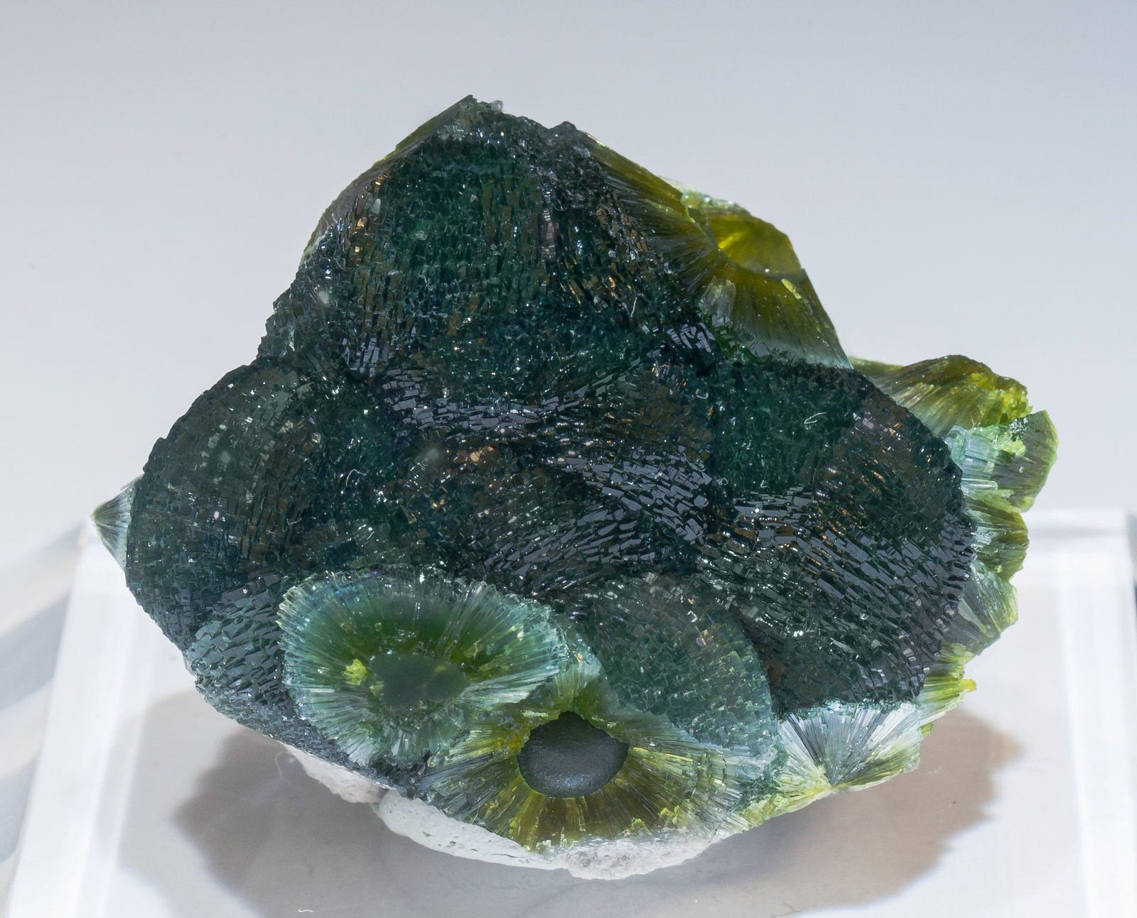 specimens/s_imagesAM2/Wavellite-HH96AM2f.jpg