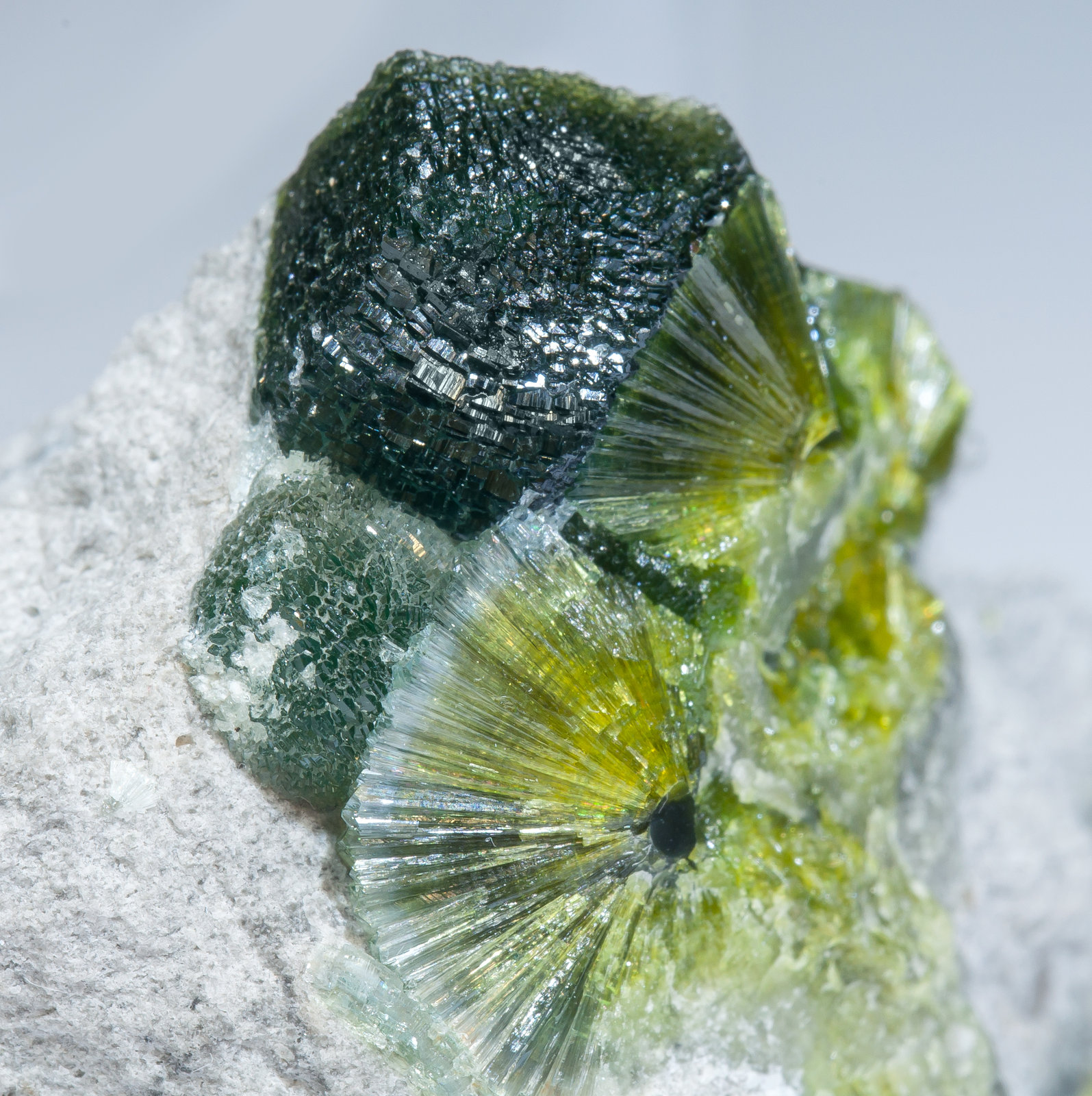 specimens/s_imagesAM2/Wavellite-HJ10AM2d.jpg