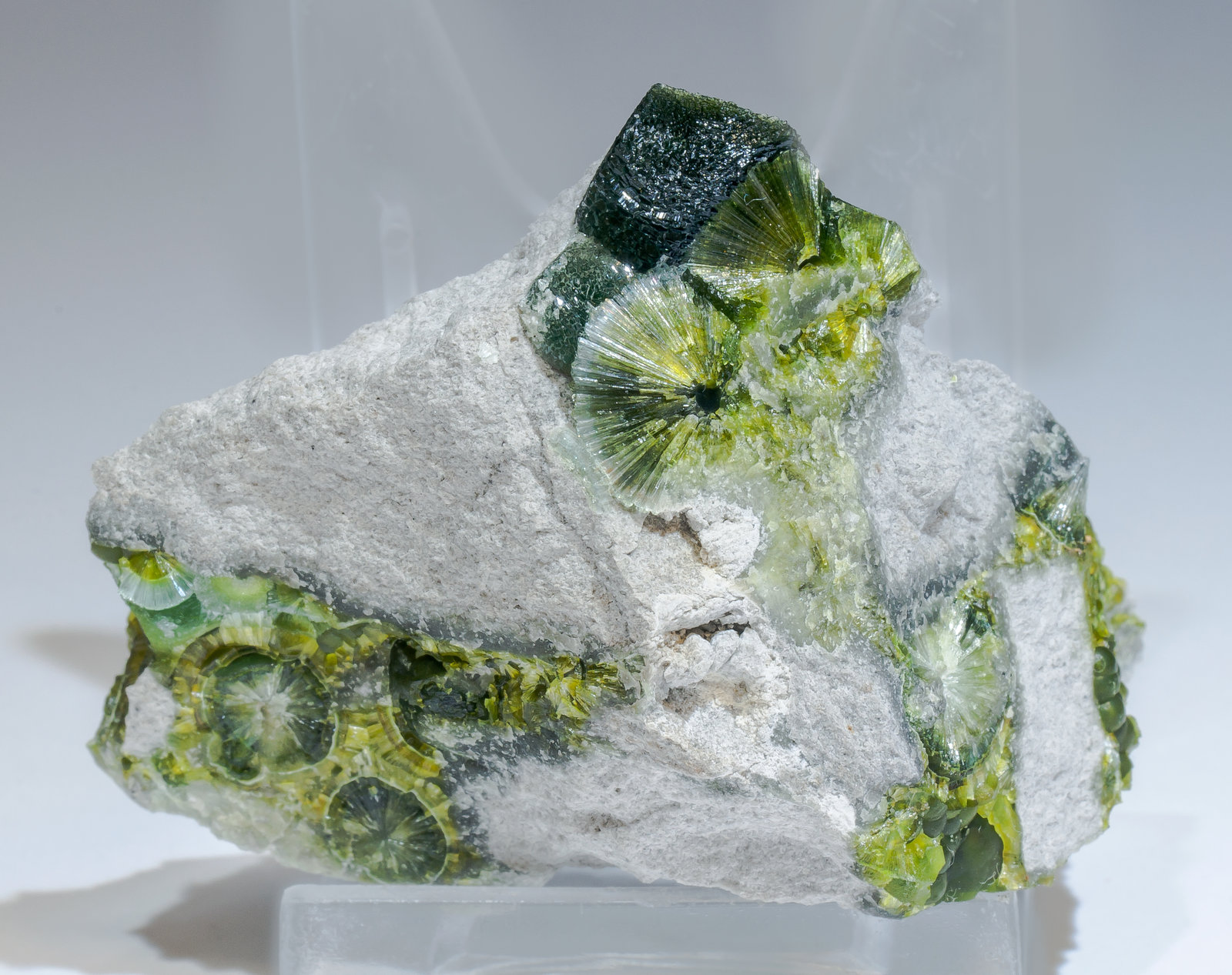 specimens/s_imagesAM2/Wavellite-HJ10AM2f.jpg