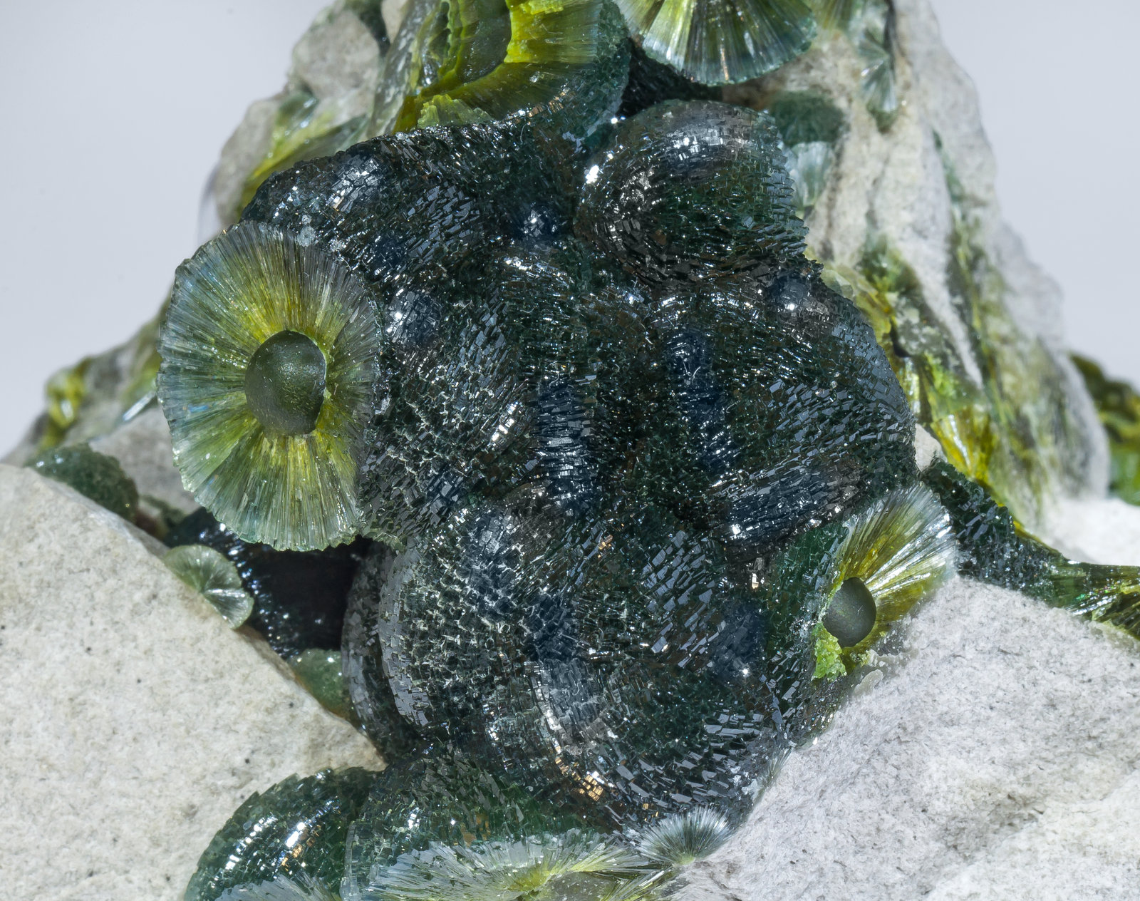 specimens/s_imagesAM2/Wavellite-HL48AM2d.jpg