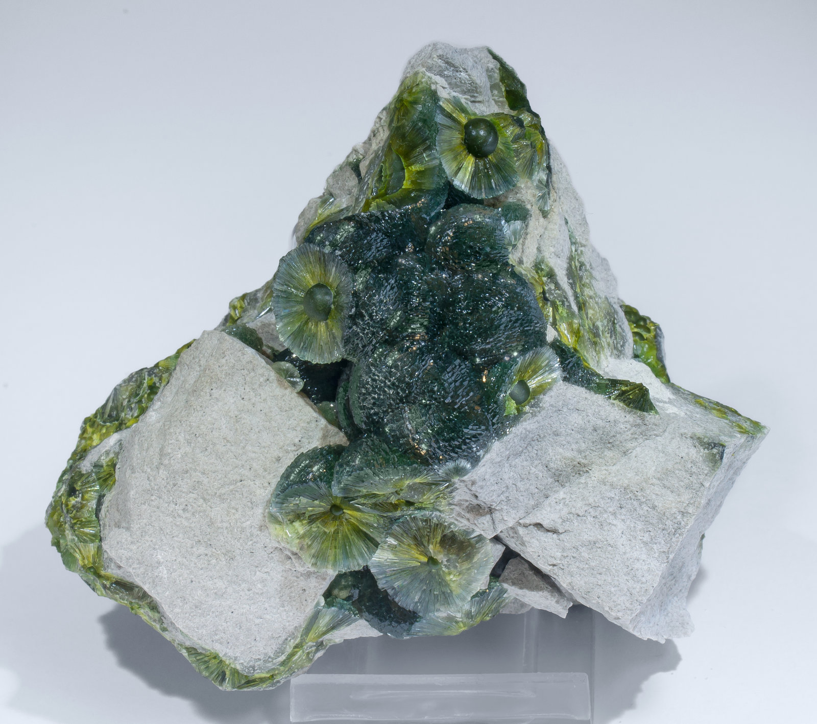 specimens/s_imagesAM2/Wavellite-HL48AM2f.jpg