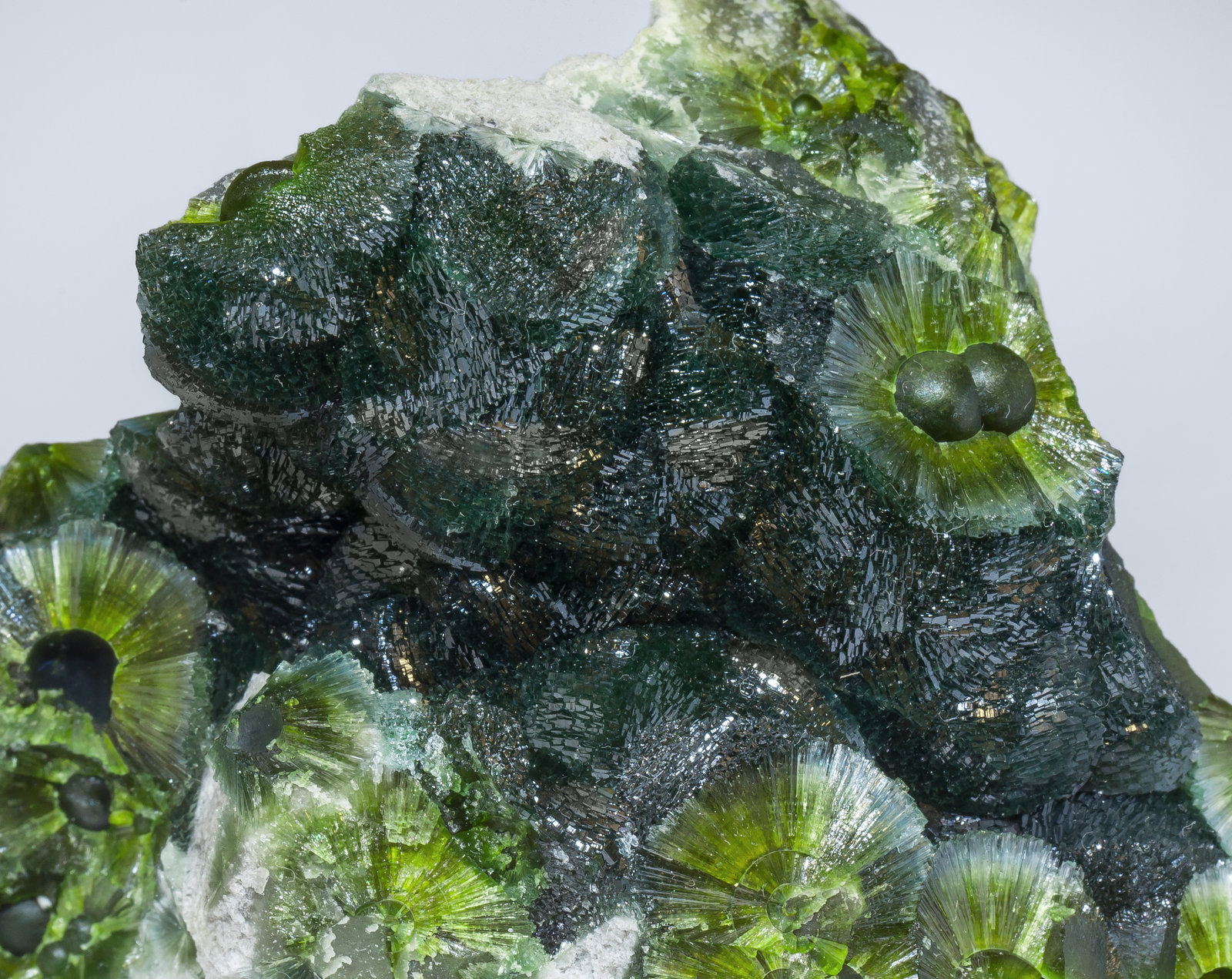 specimens/s_imagesAM2/Wavellite-HM87AM2d.jpg