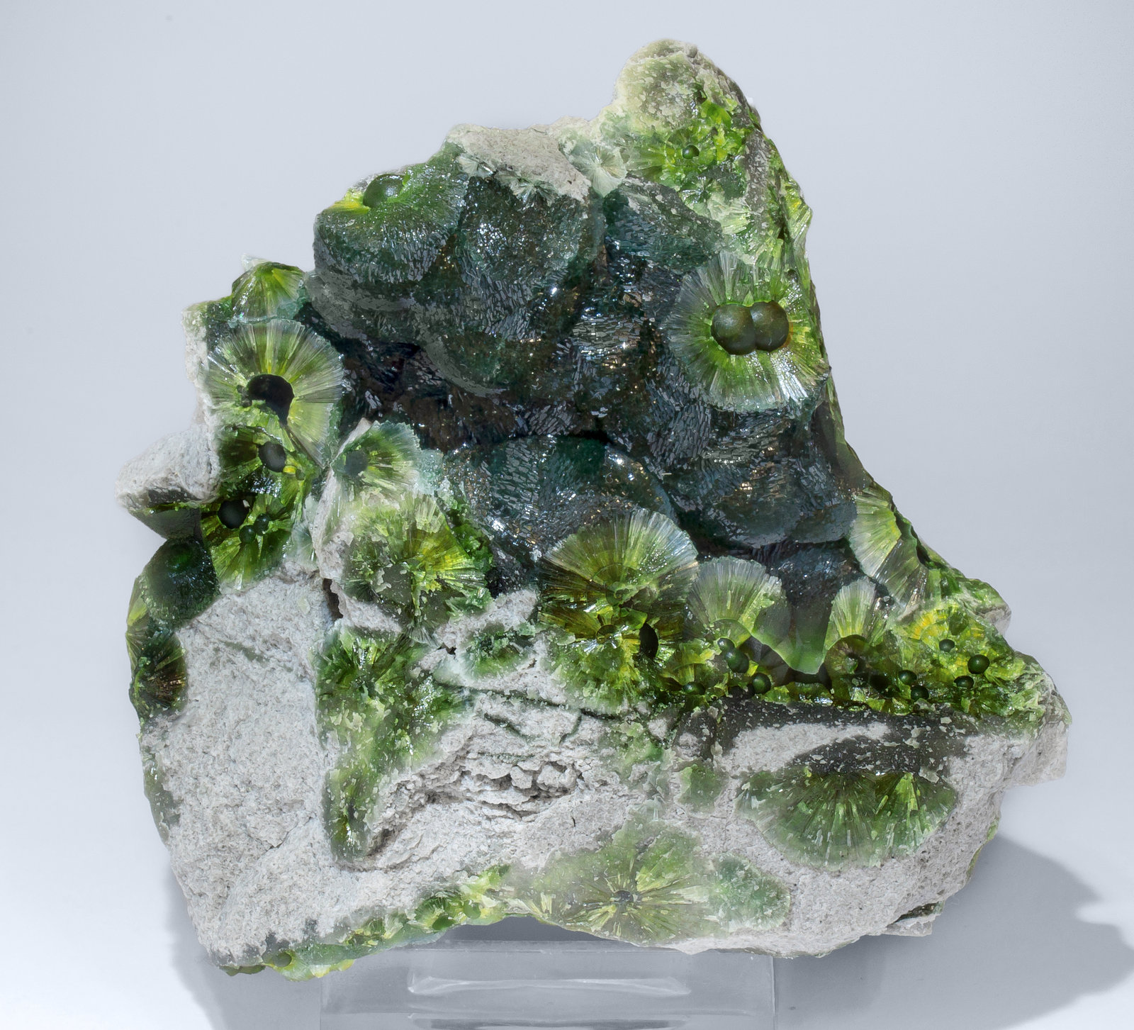 specimens/s_imagesAM2/Wavellite-HM87AM2f.jpg