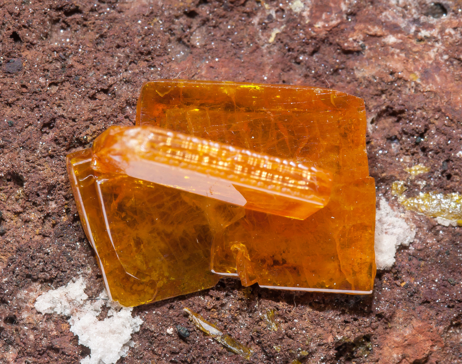 specimens/s_imagesAM2/Wulfenite-EF86AM2d.jpg