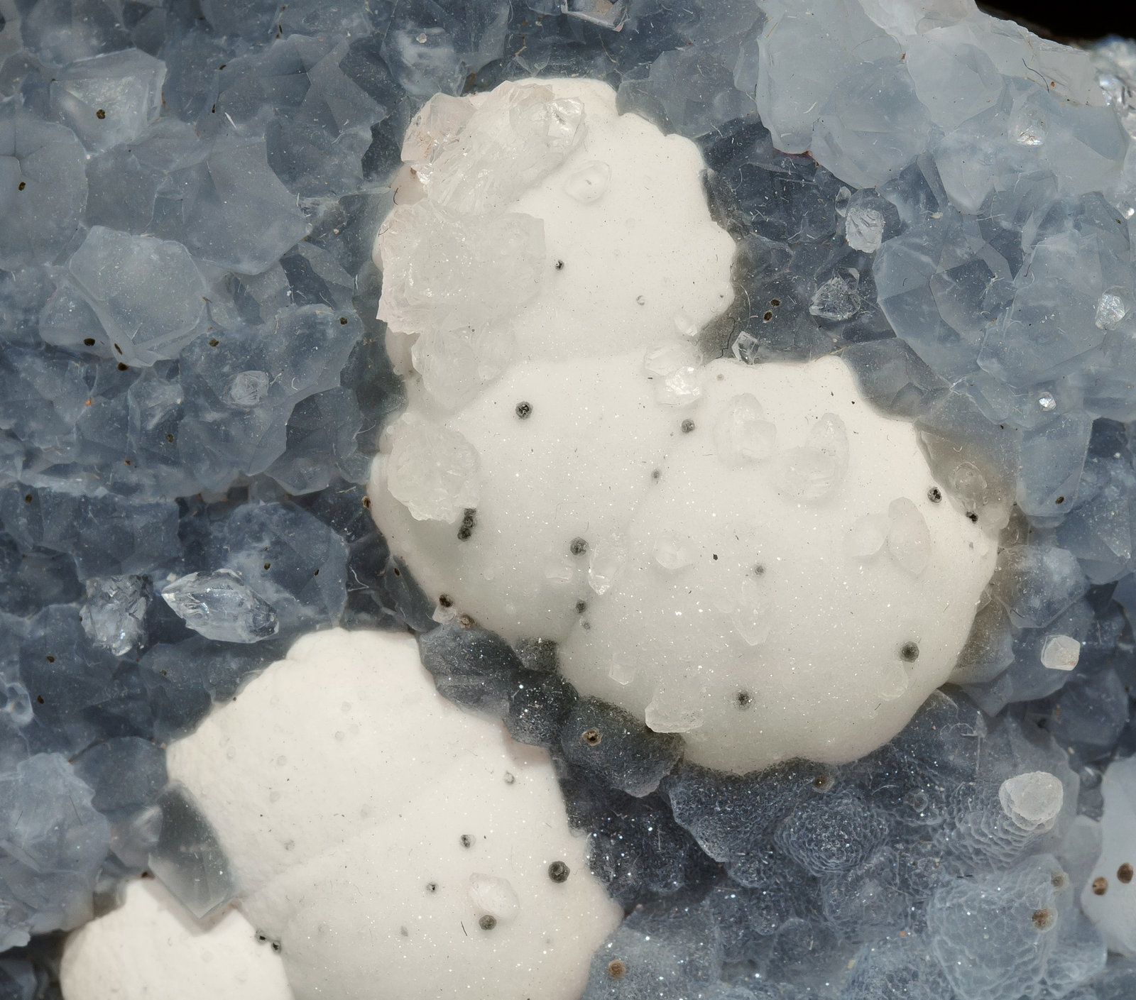 specimens/s_imagesAM3/Fluorite-FD16AM3d.jpg