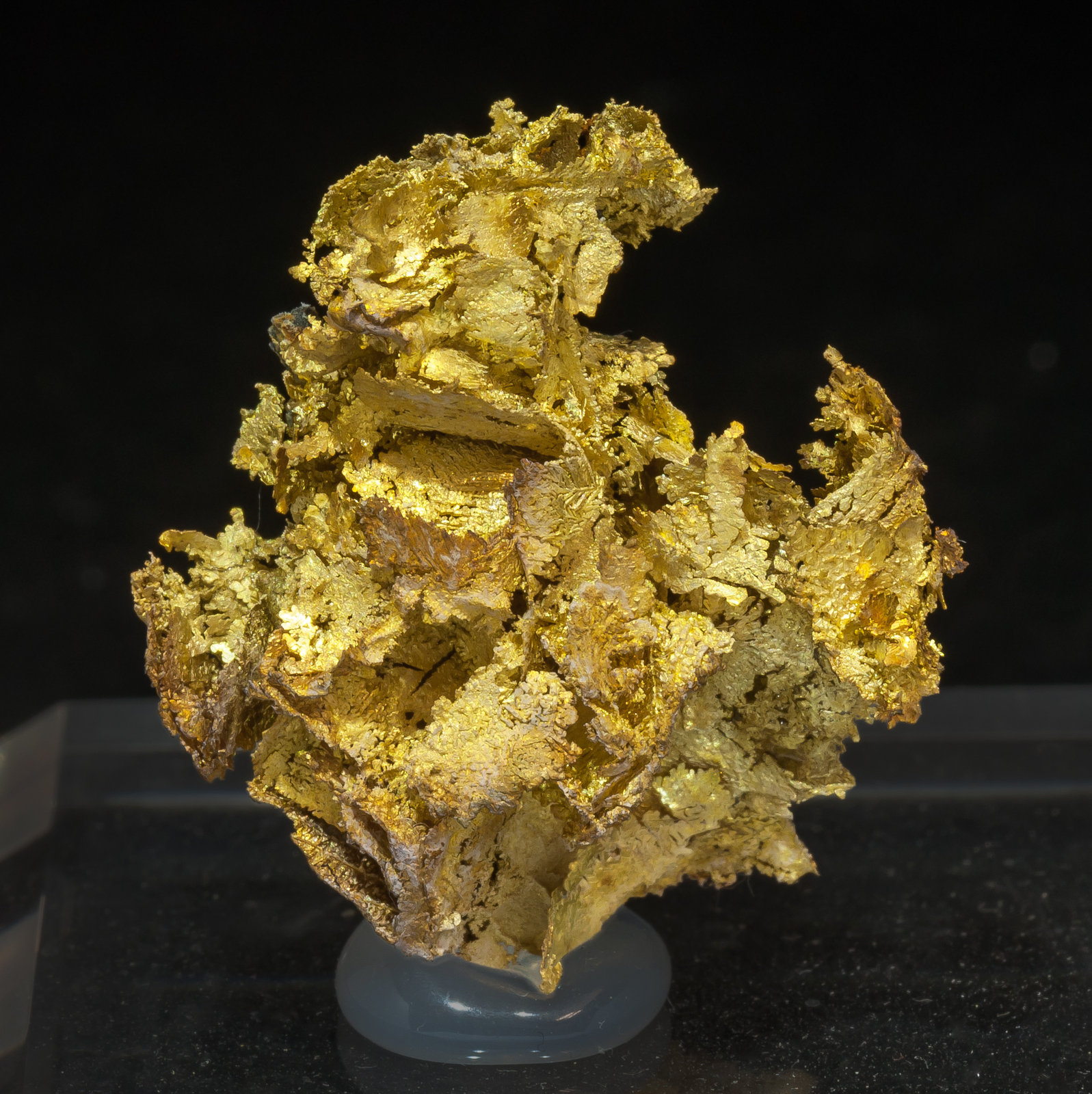 specimens/s_imagesAM3/Gold-TR16AM3f.jpg