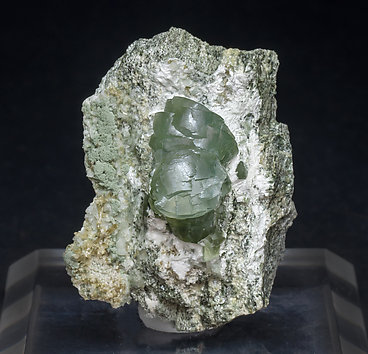 Prehnite with Actinolite (variety byssolite). 