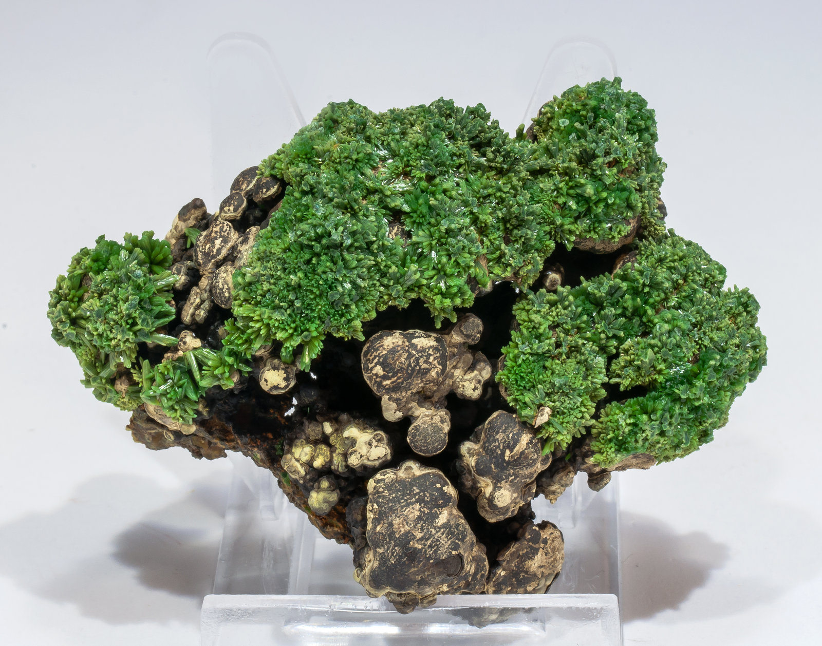 specimens/s_imagesAM3/Pyromorphite-ED29AM3f.jpg