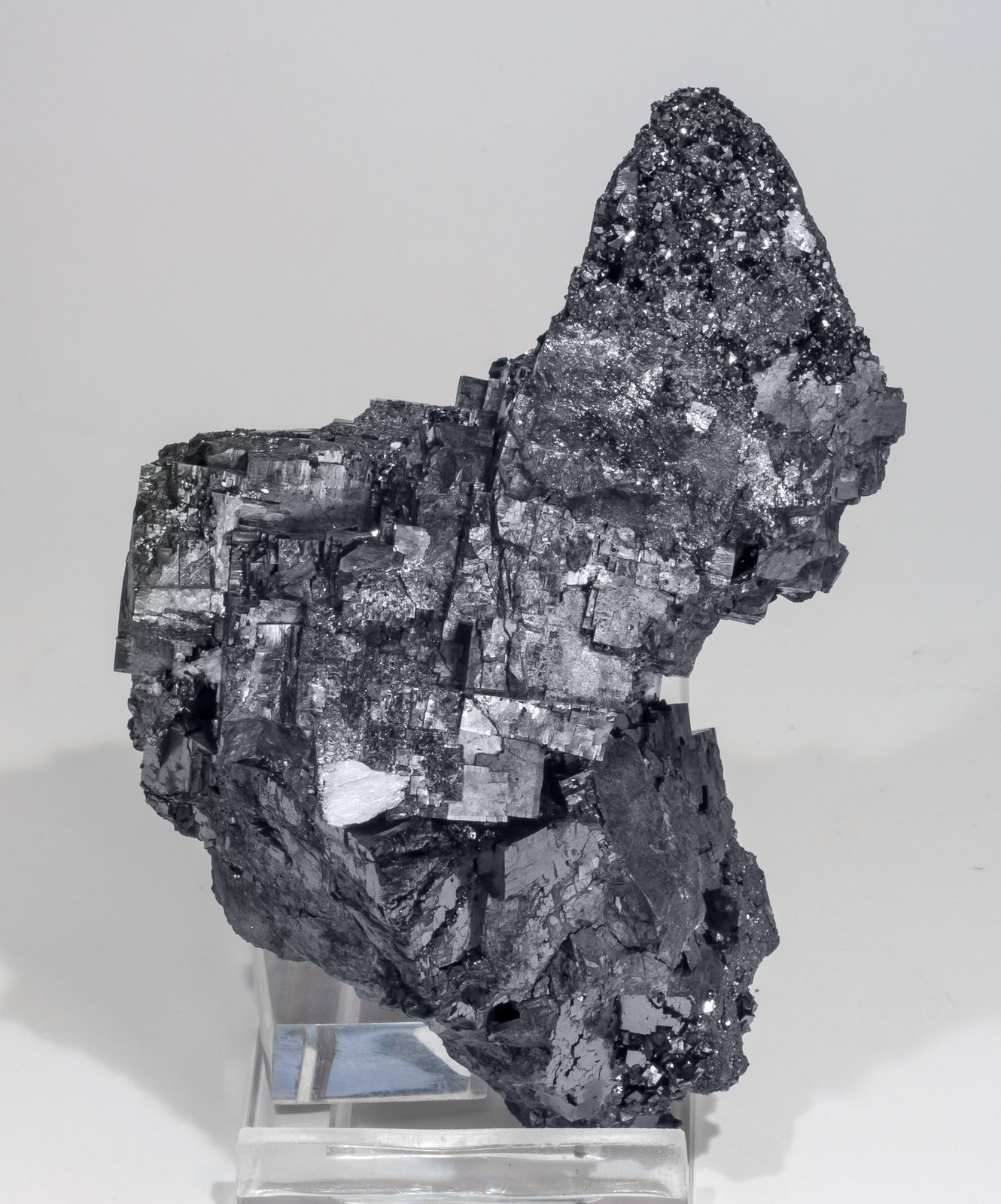 specimens/s_imagesAM4/Bixbyite-ET48AM4f.jpg