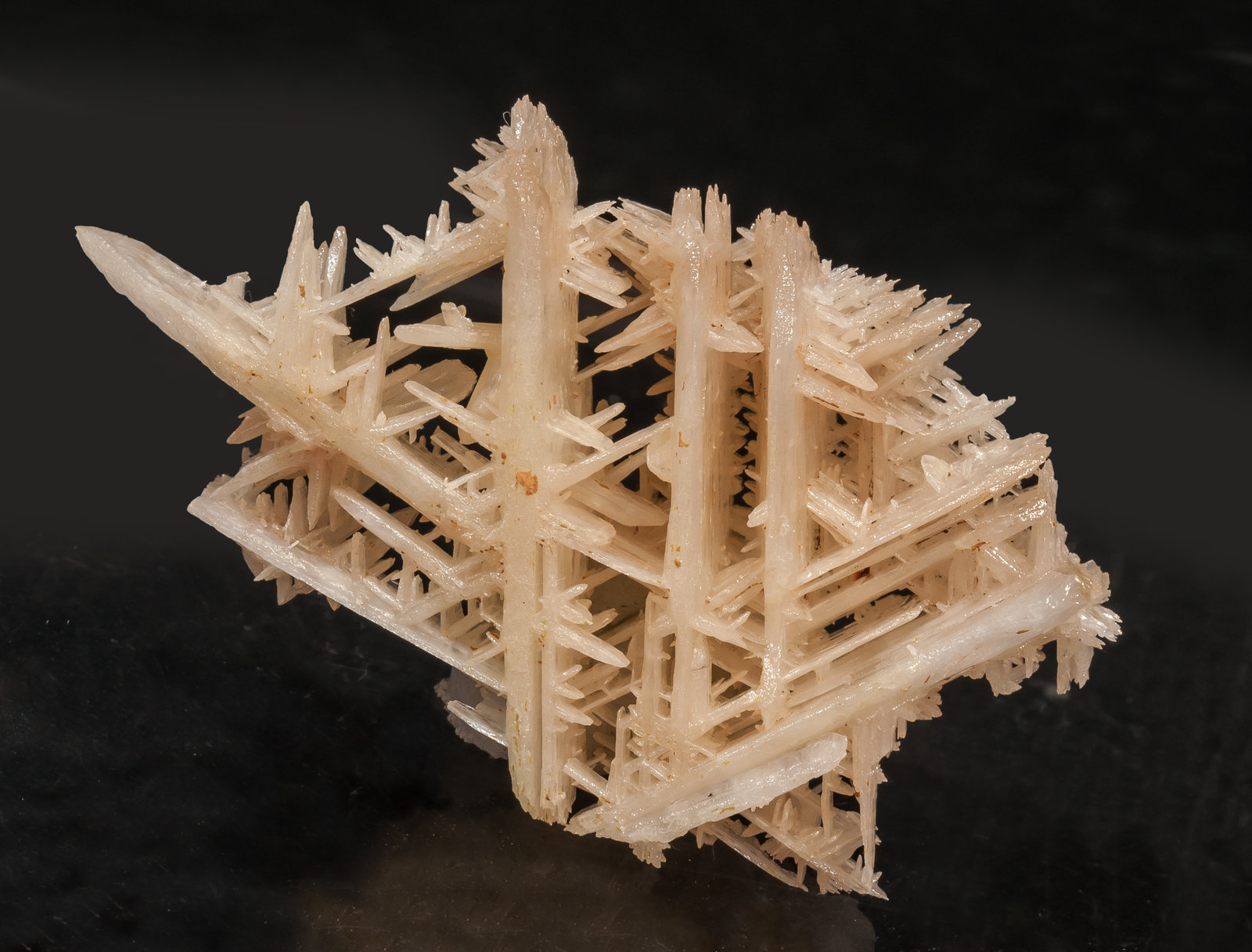 specimens/s_imagesAM4/Cerussite-NR48AM4f.jpg