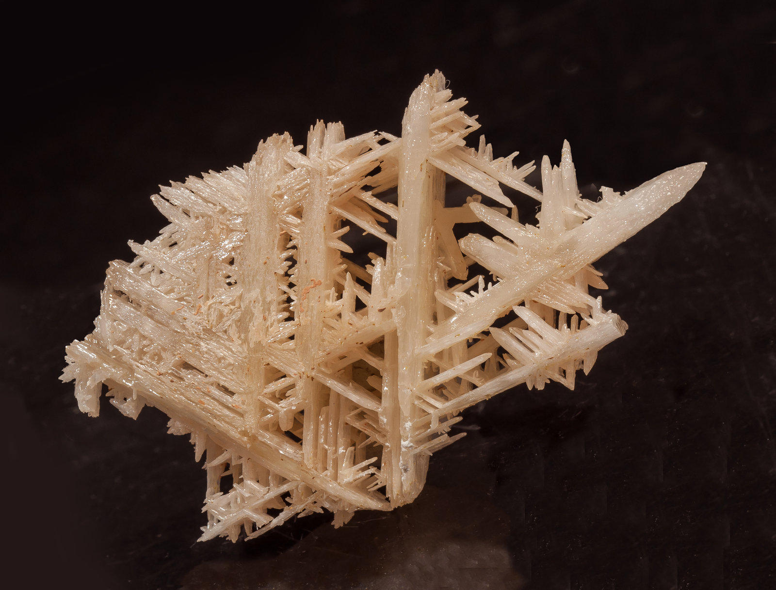 specimens/s_imagesAM4/Cerussite-NR48AM4r.jpg