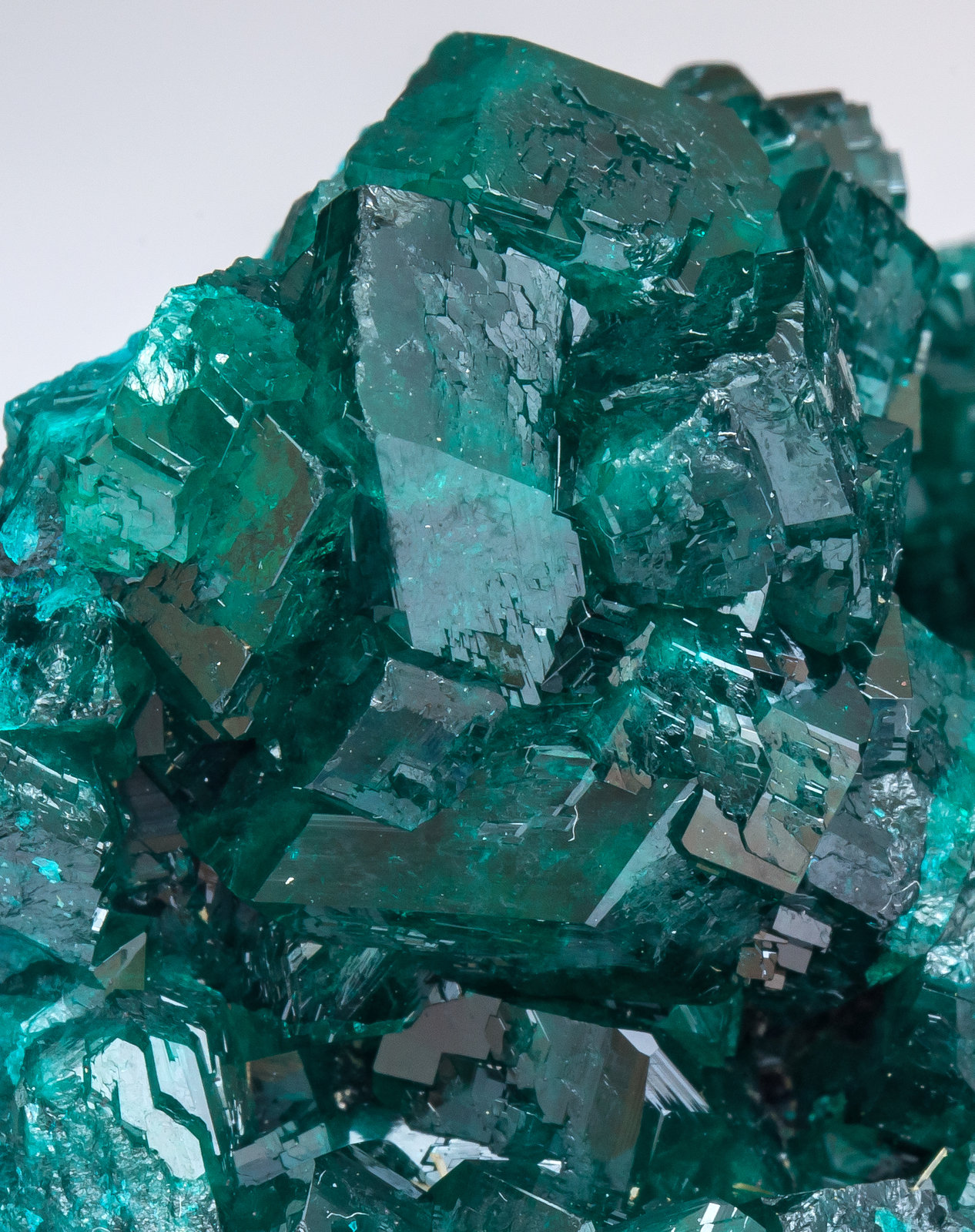 specimens/s_imagesAM4/Dioptase-NV27AM4d.jpg