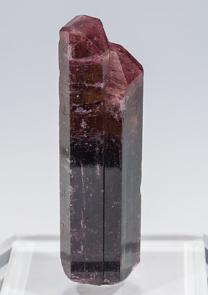 Elbaite (variety rubellite). Front