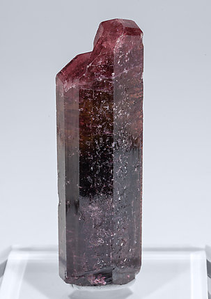 Elbaite (variety rubellite). Rear