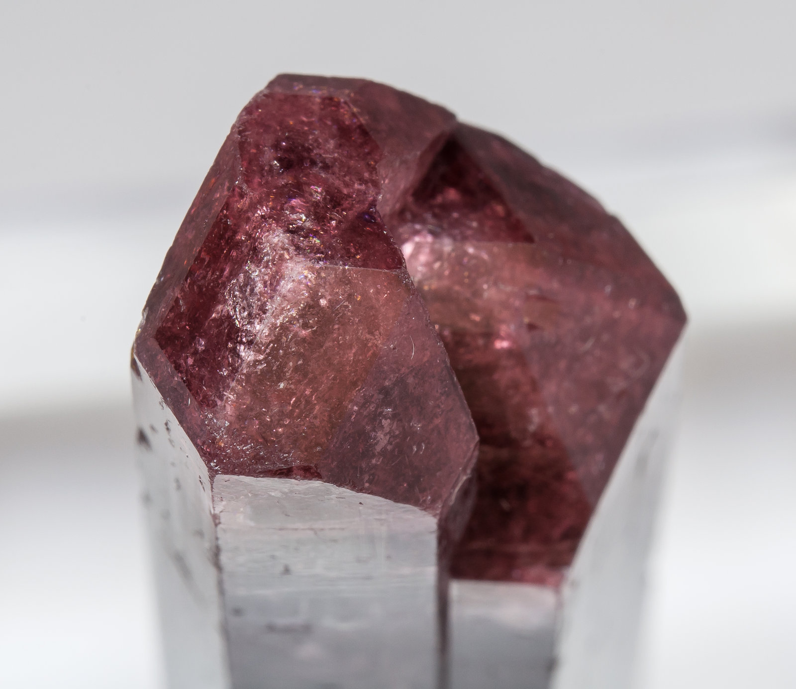 specimens/s_imagesAM4/Elbaite-CM98AM4t.jpg