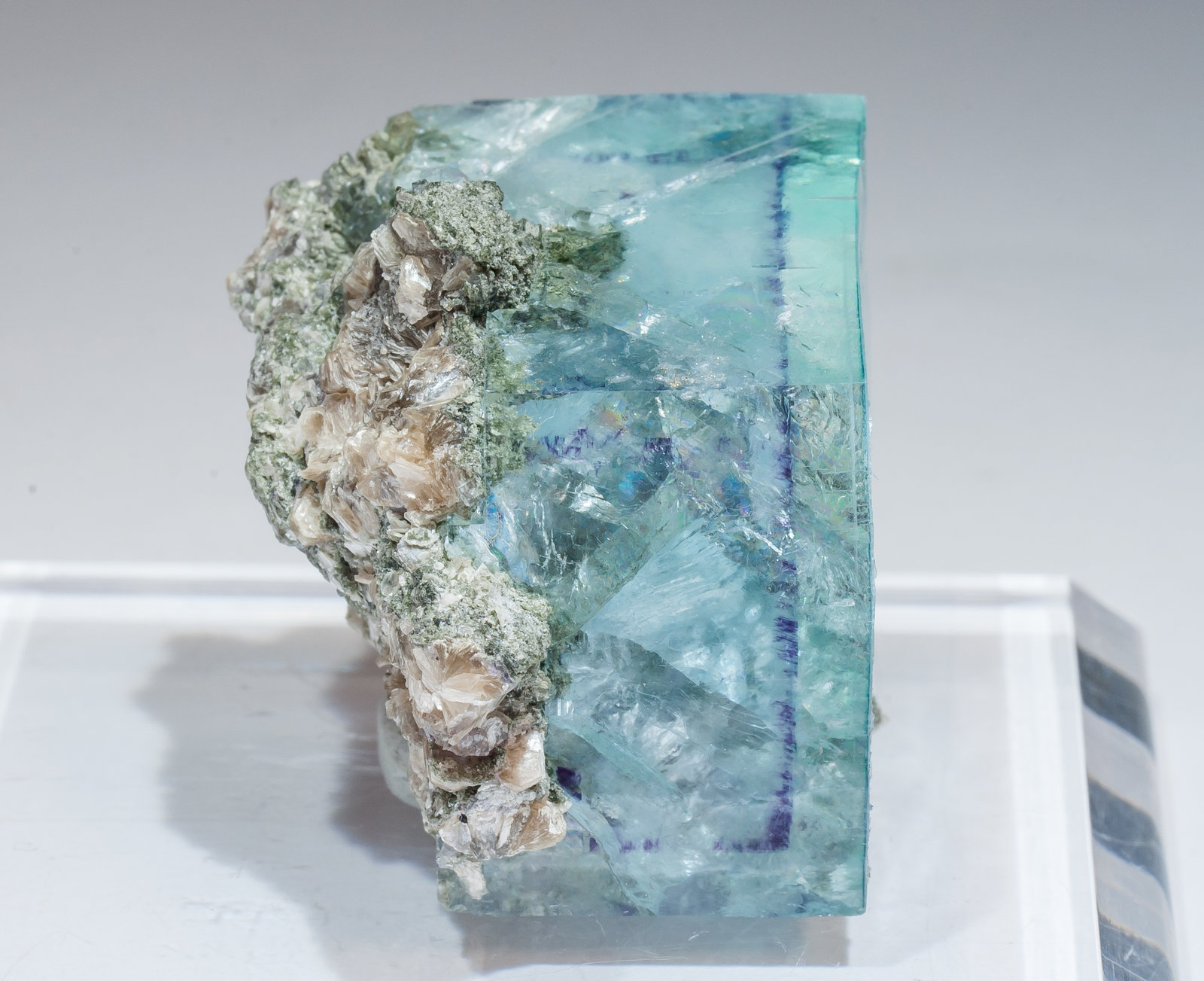 specimens/s_imagesAM4/Fluorite-EG66AM4s.jpg