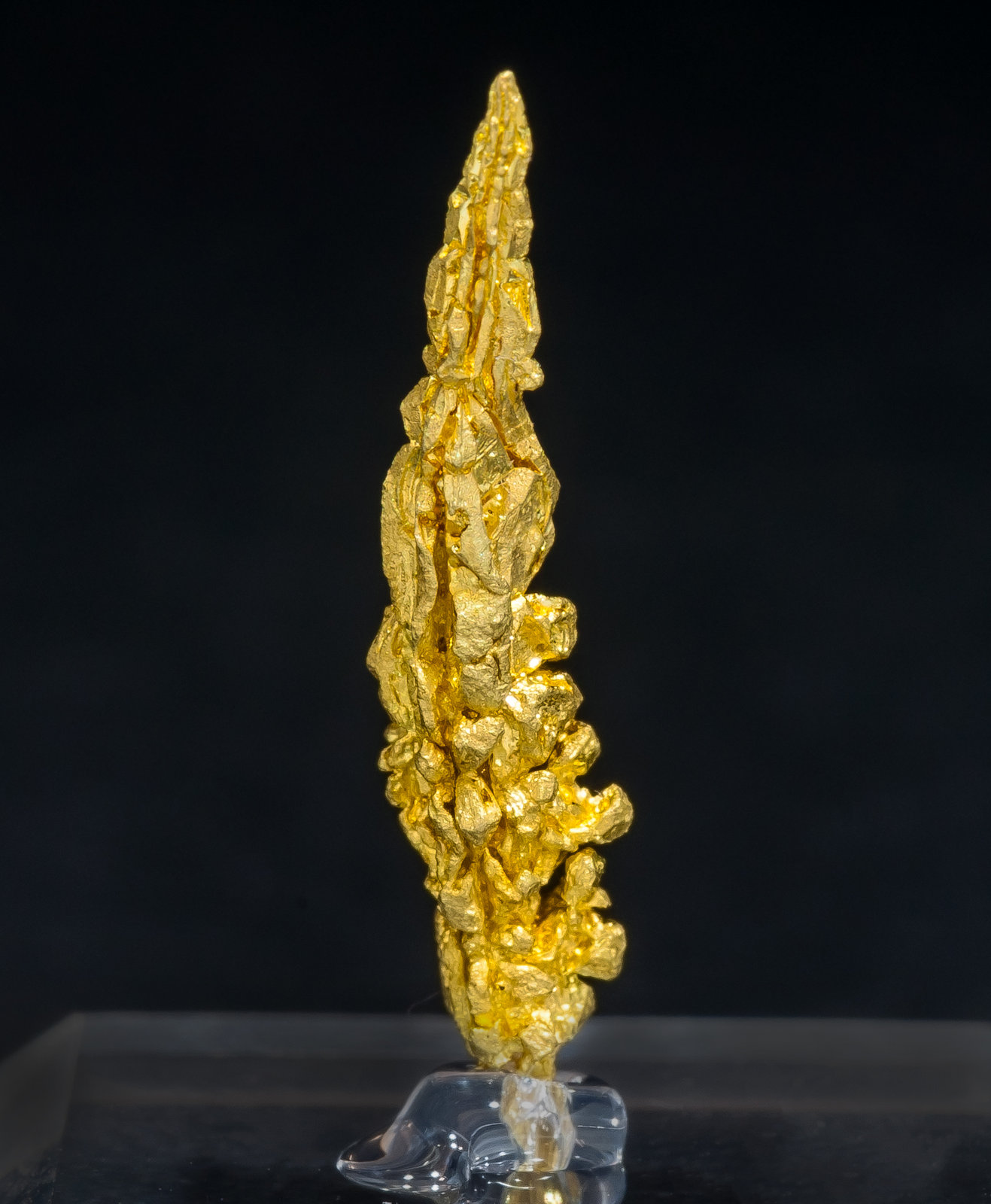 specimens/s_imagesAM4/Gold-MD11AM4r.jpg