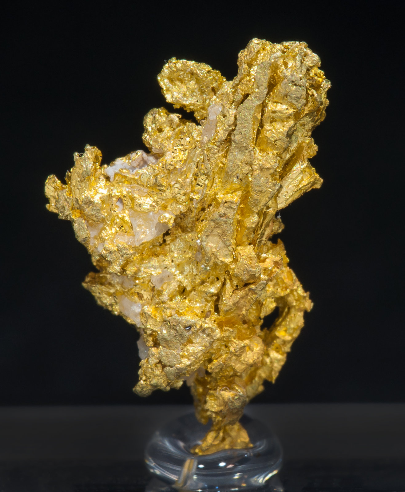 specimens/s_imagesAM4/Gold-ME30AM4r.jpg