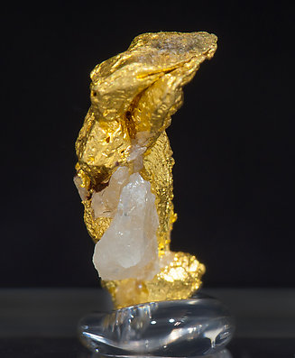 Gold (spinel twin) with Quartz. Rear