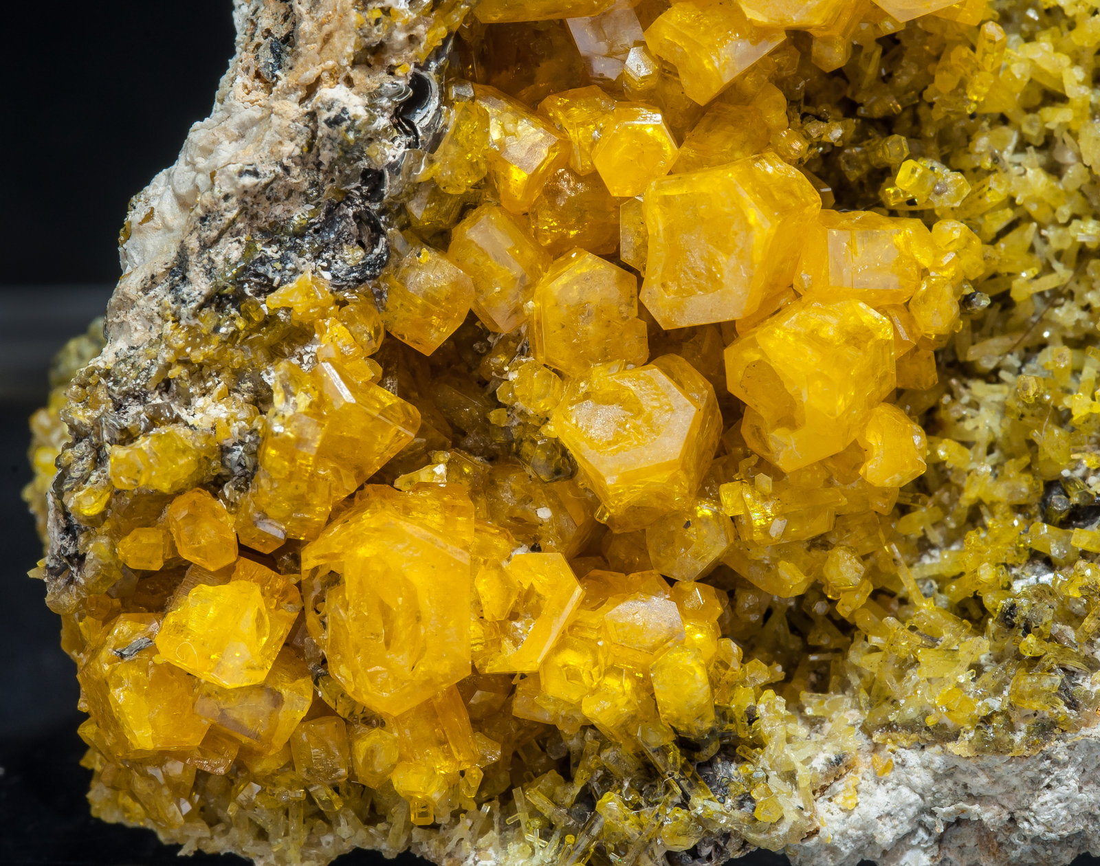 specimens/s_imagesAM4/Mimetite-NE47AM4d.jpg