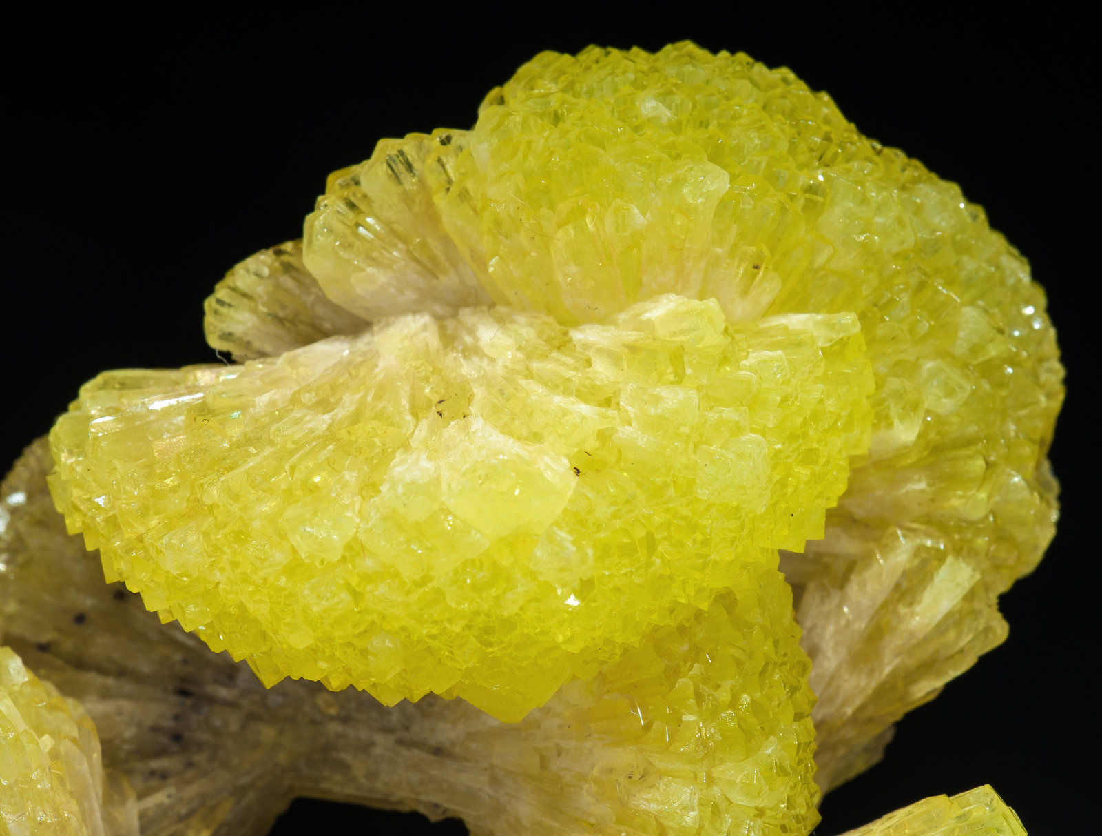 specimens/s_imagesAM5/Adamite-NR27AM5d.jpg