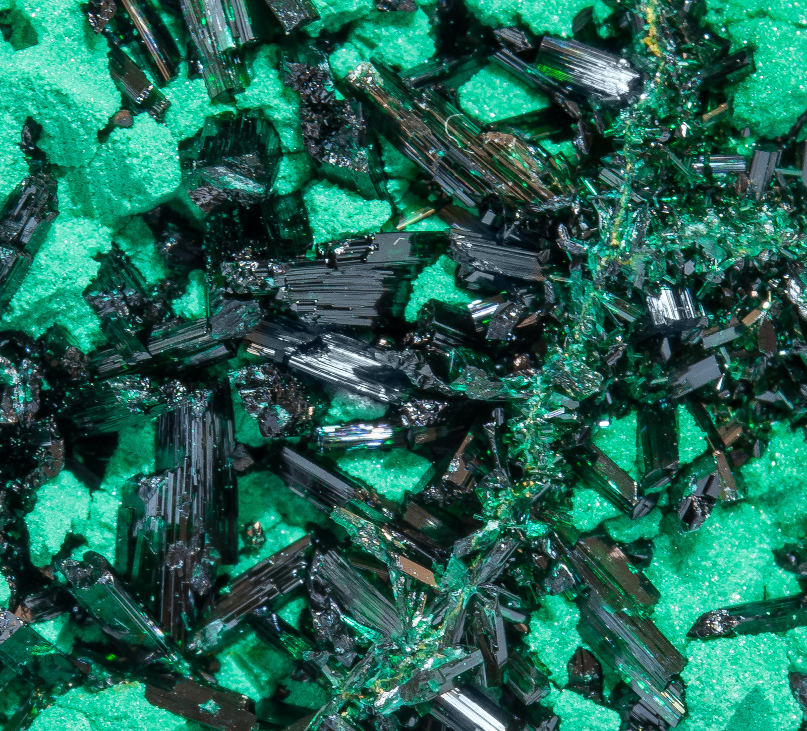 specimens/s_imagesAM5/Brochantite-NQ6AM5d.jpg