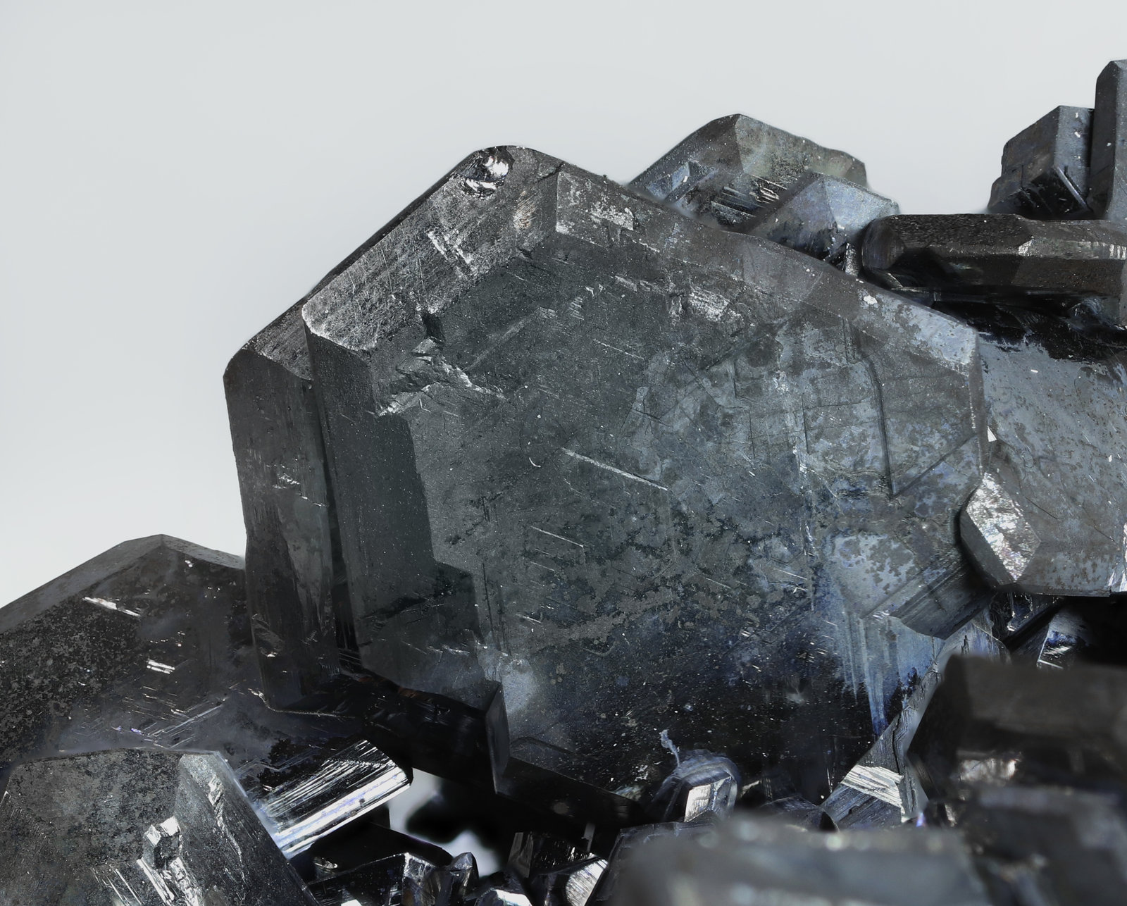 specimens/s_imagesAM5/Chalcocite-MH96AM5_1740_d1.jpg