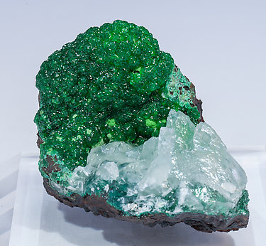 Conichalcite with Calcite. 