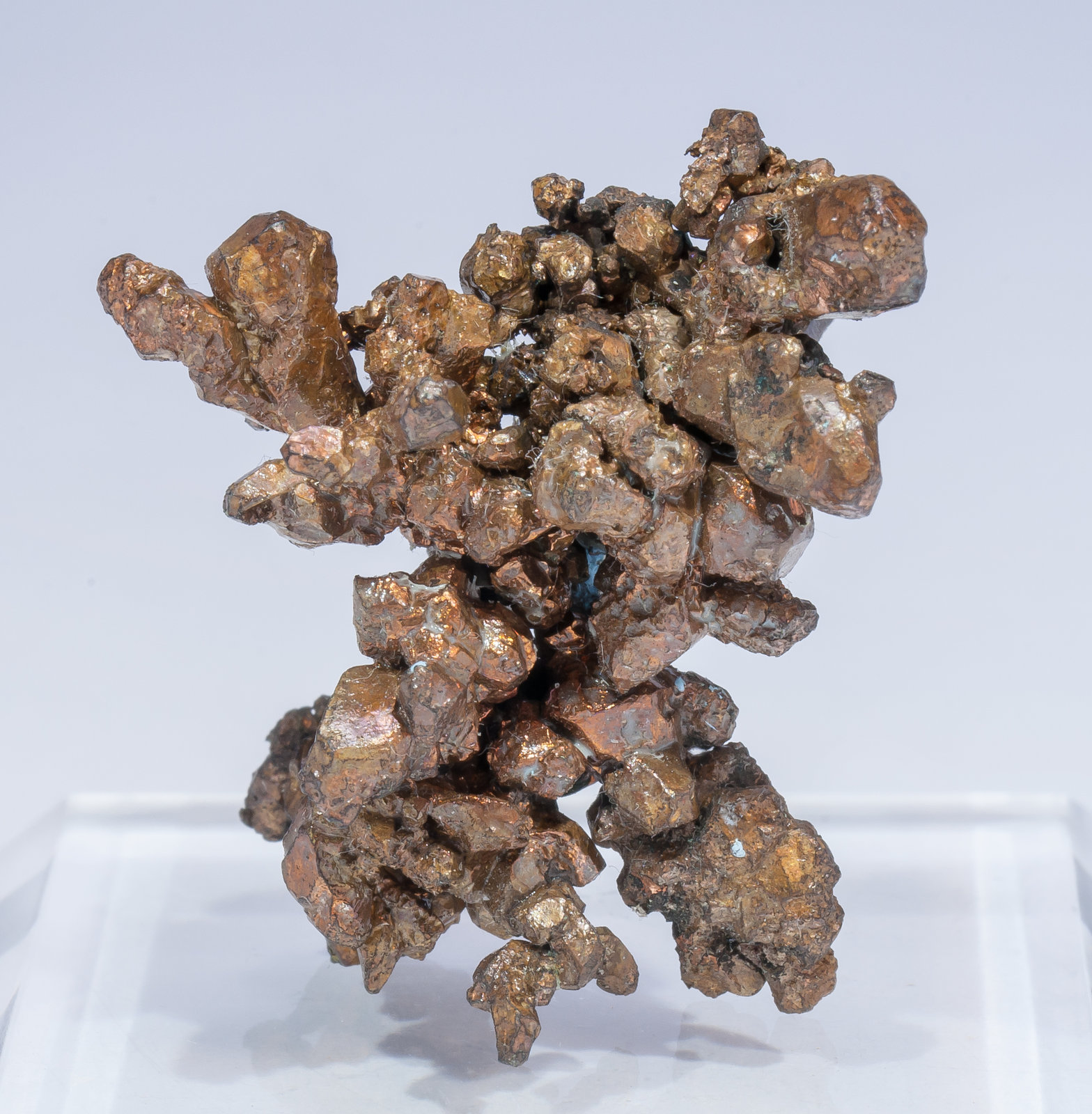 specimens/s_imagesAM5/Copper-CY96AM5f.jpg