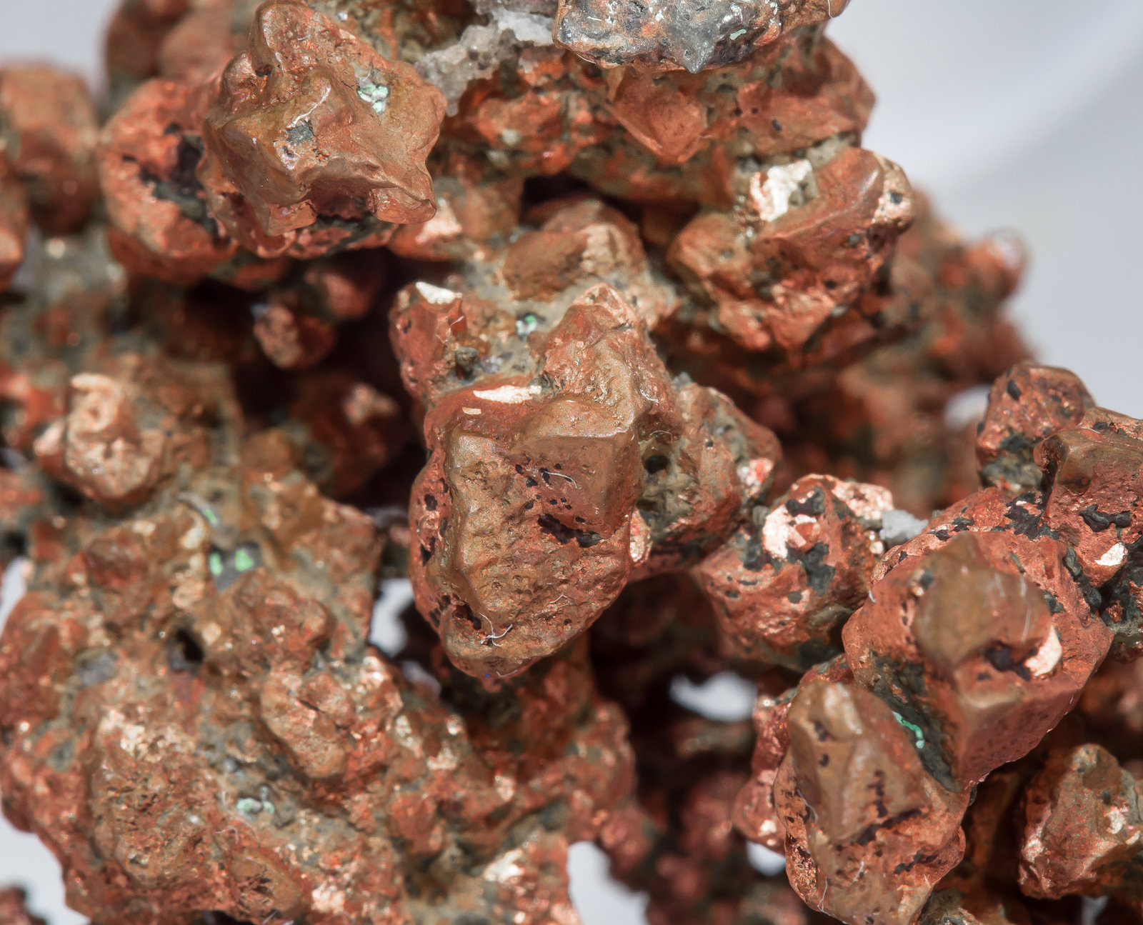 specimens/s_imagesAM5/Copper-EP76AM5d.jpg