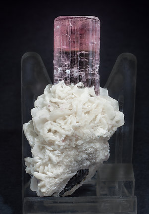 Elbaite (variety rubellite) with Albite. Rear