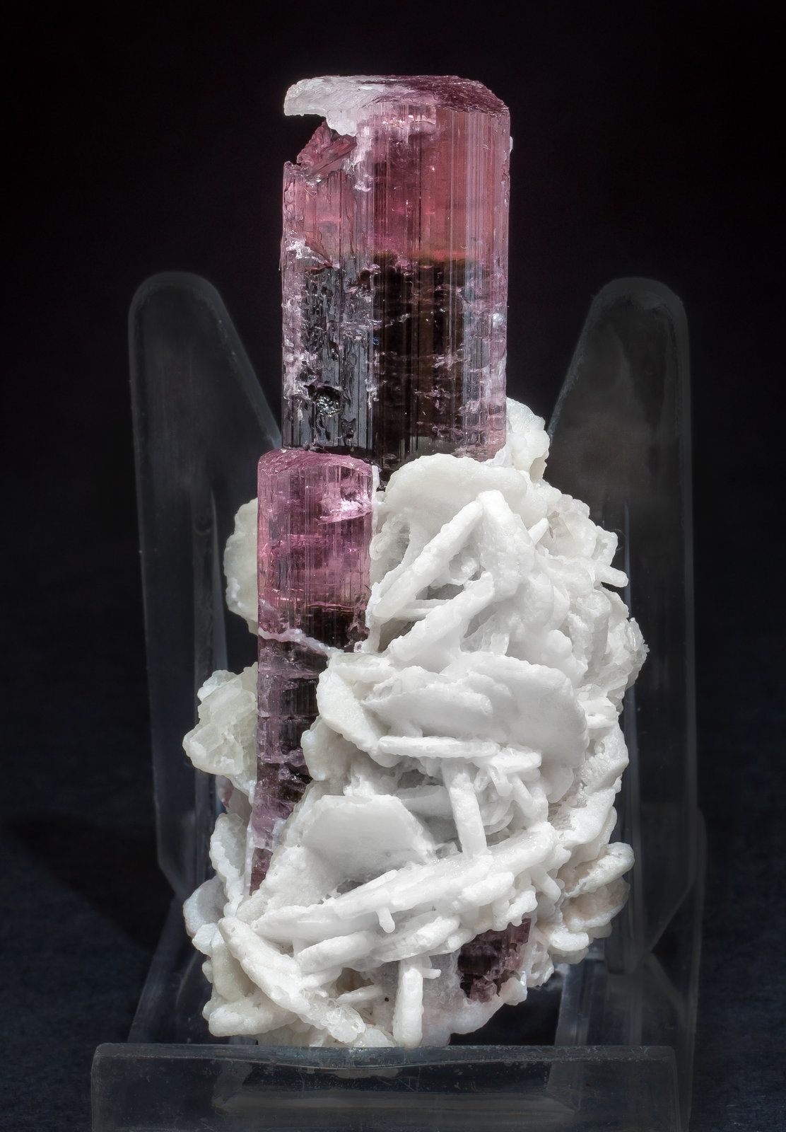 specimens/s_imagesAM5/Elbaite-TR1AM5s1.jpg