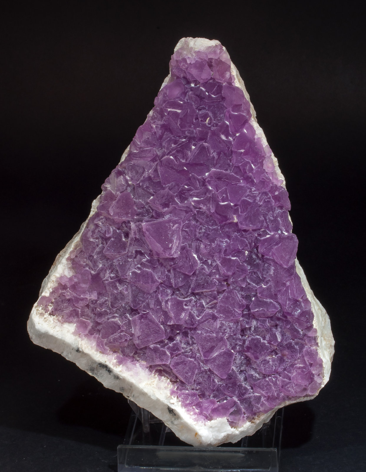 specimens/s_imagesAM5/Fluorite-HB47AM5f.jpg