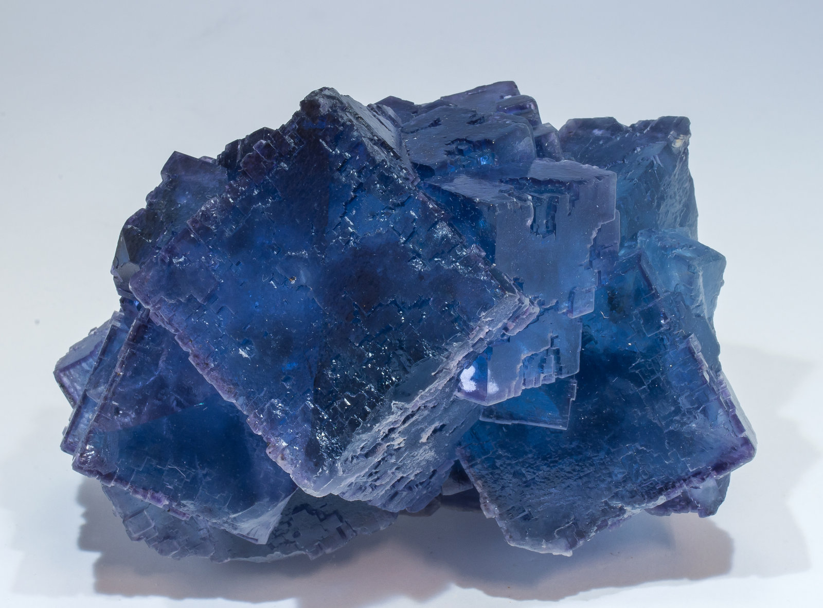 specimens/s_imagesAM5/Fluorite-NF38AM5f.jpg