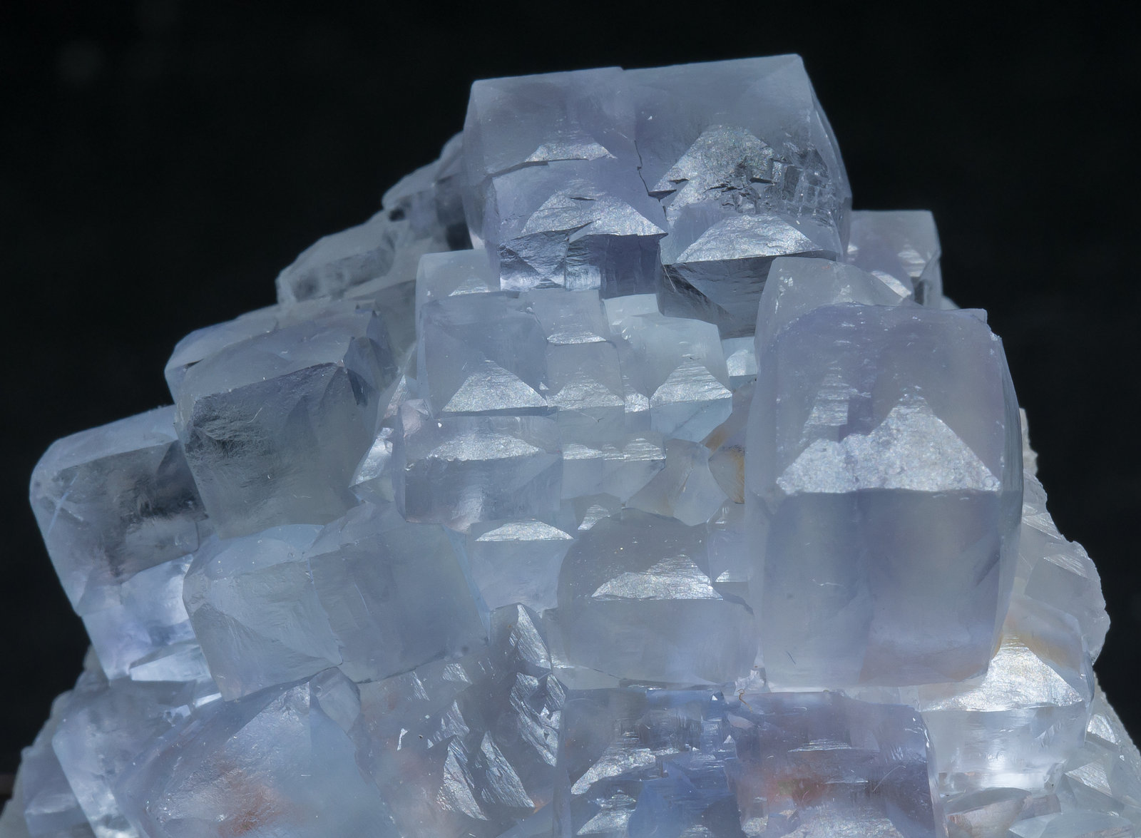 specimens/s_imagesAM5/Fluorite-NT27AM5d.jpg
