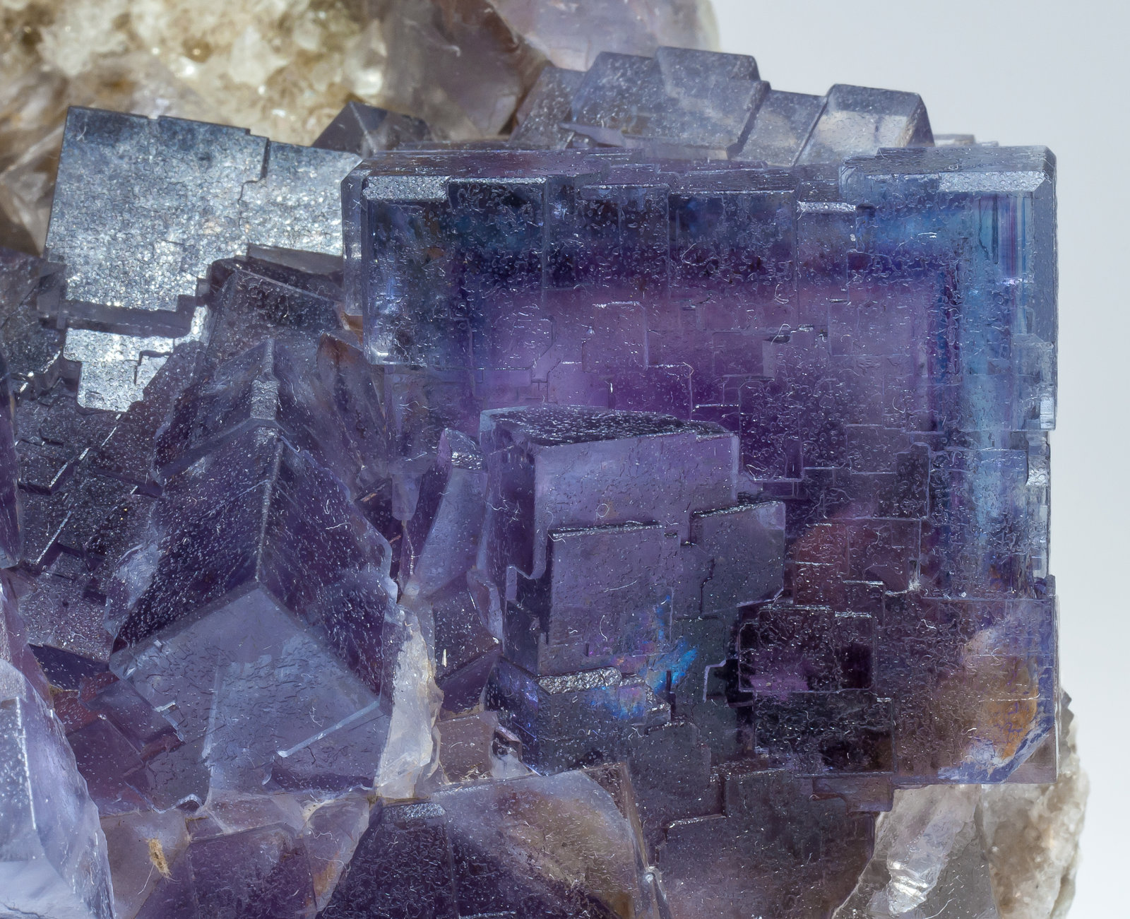 specimens/s_imagesAM5/Fluorite-NT67AM5d.jpg