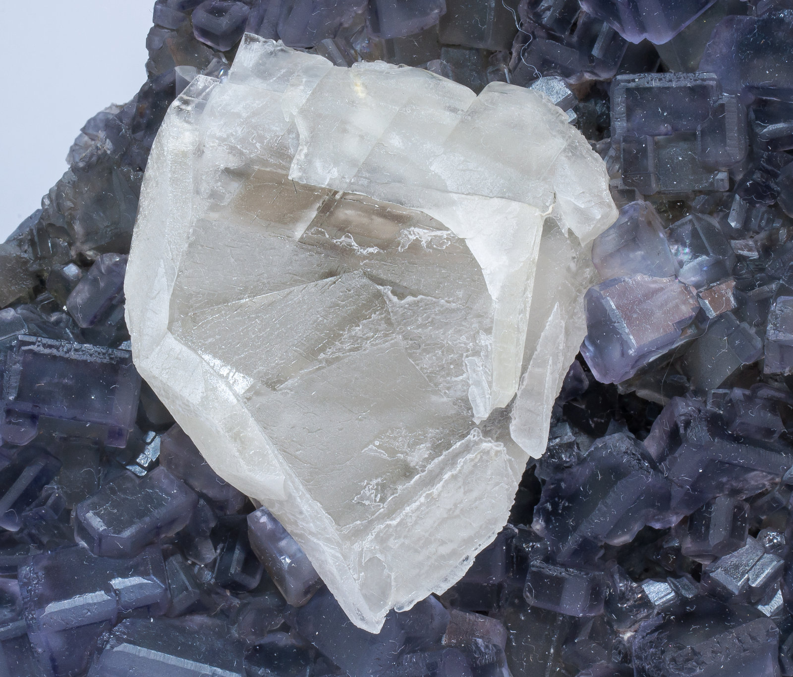 specimens/s_imagesAM5/Fluorite-NZ16AM5d.jpg