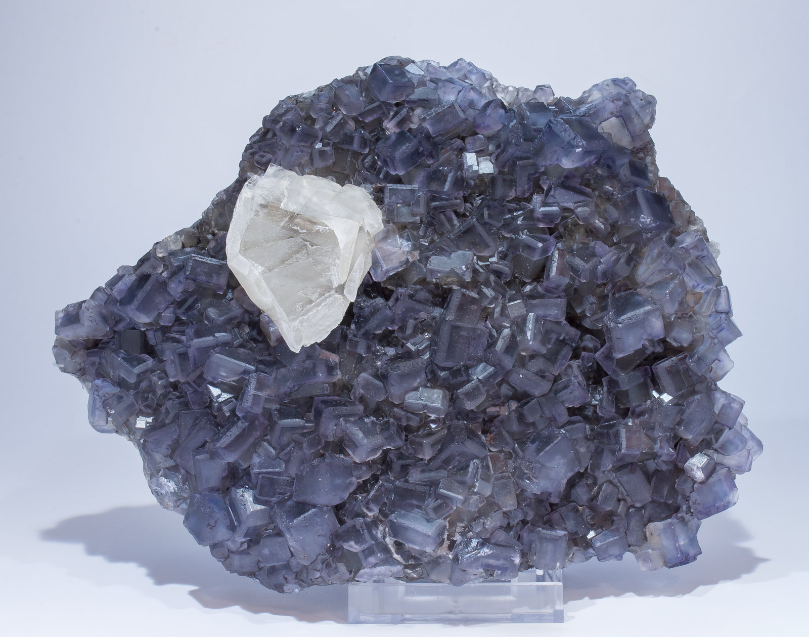 specimens/s_imagesAM5/Fluorite-NZ16AM5f.jpg