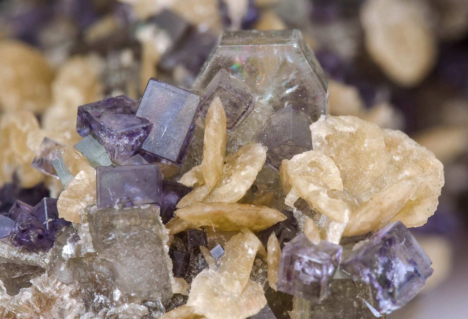 specimens/s_imagesAM5/Fluorite-TK47AM5d1.jpg