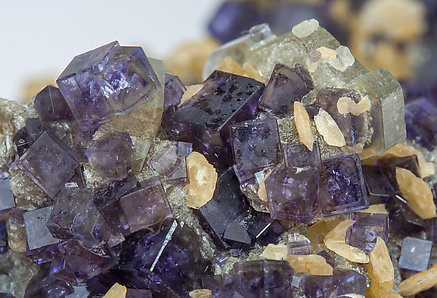 Fluorite with Siderite, Fluorapatite, Muscovite and Arsenopyrite. 