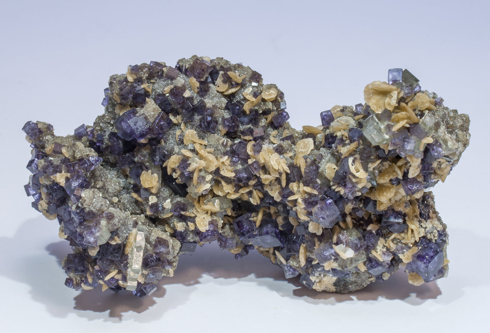 specimens/s_imagesAM5/Fluorite-TK47AM5f.jpg