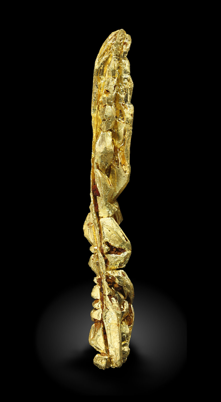 specimens/s_imagesAM5/Gold-MA11AM5_1176_f.jpg