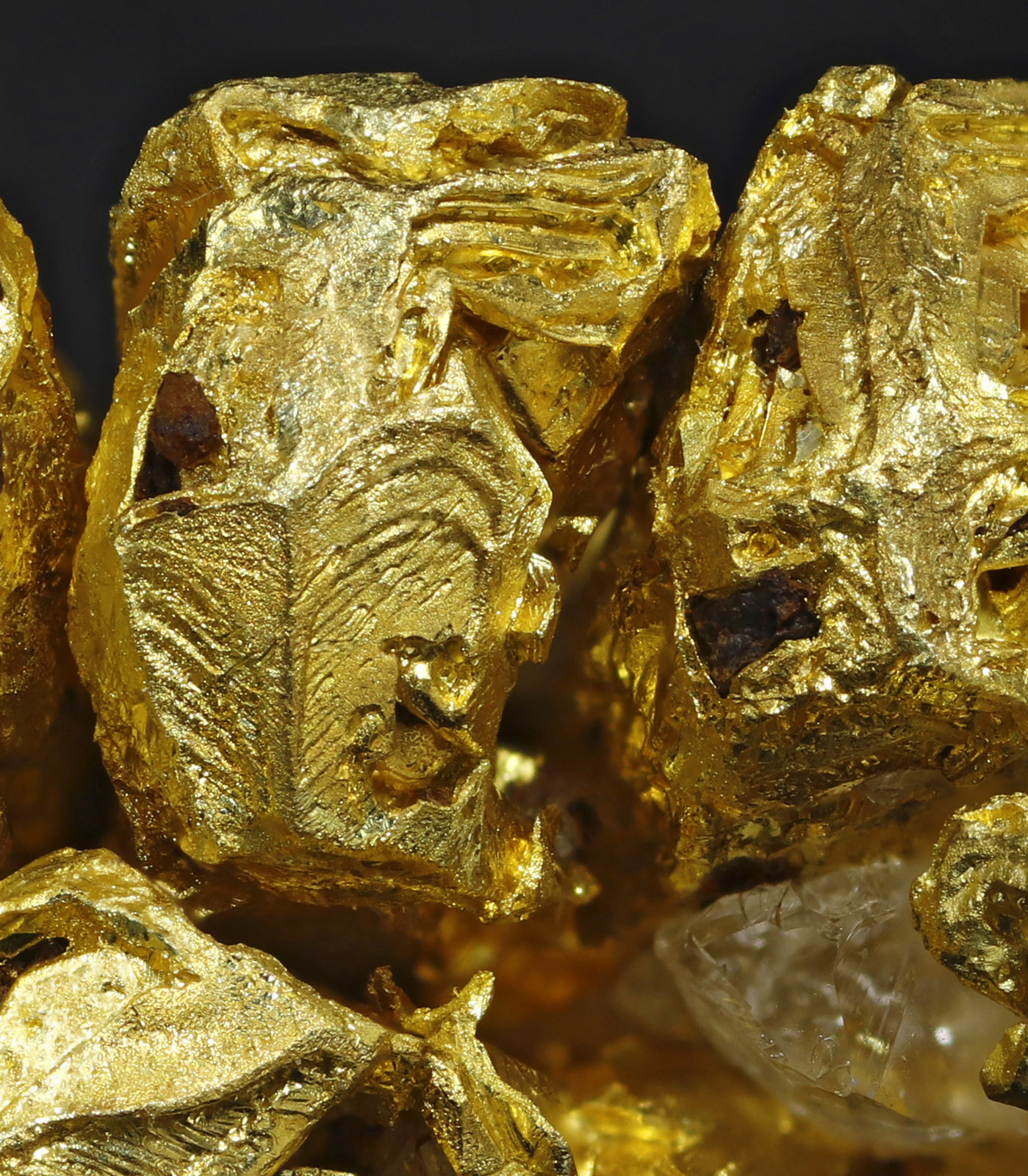 specimens/s_imagesAM5/Gold-MA52AM5_0054_d.jpg