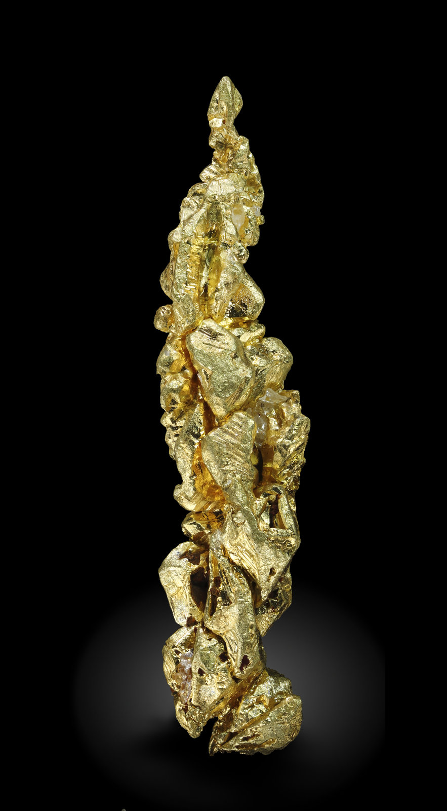 specimens/s_imagesAM5/Gold-MB70AM5_1154_f.jpg