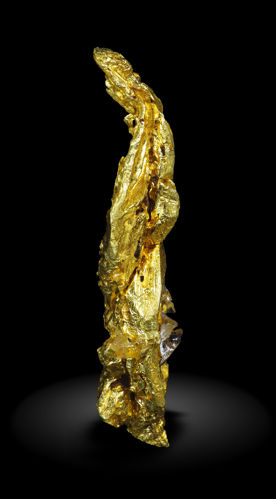 specimens/s_imagesAM5/Gold-MC89AM5_3112_r.jpg
