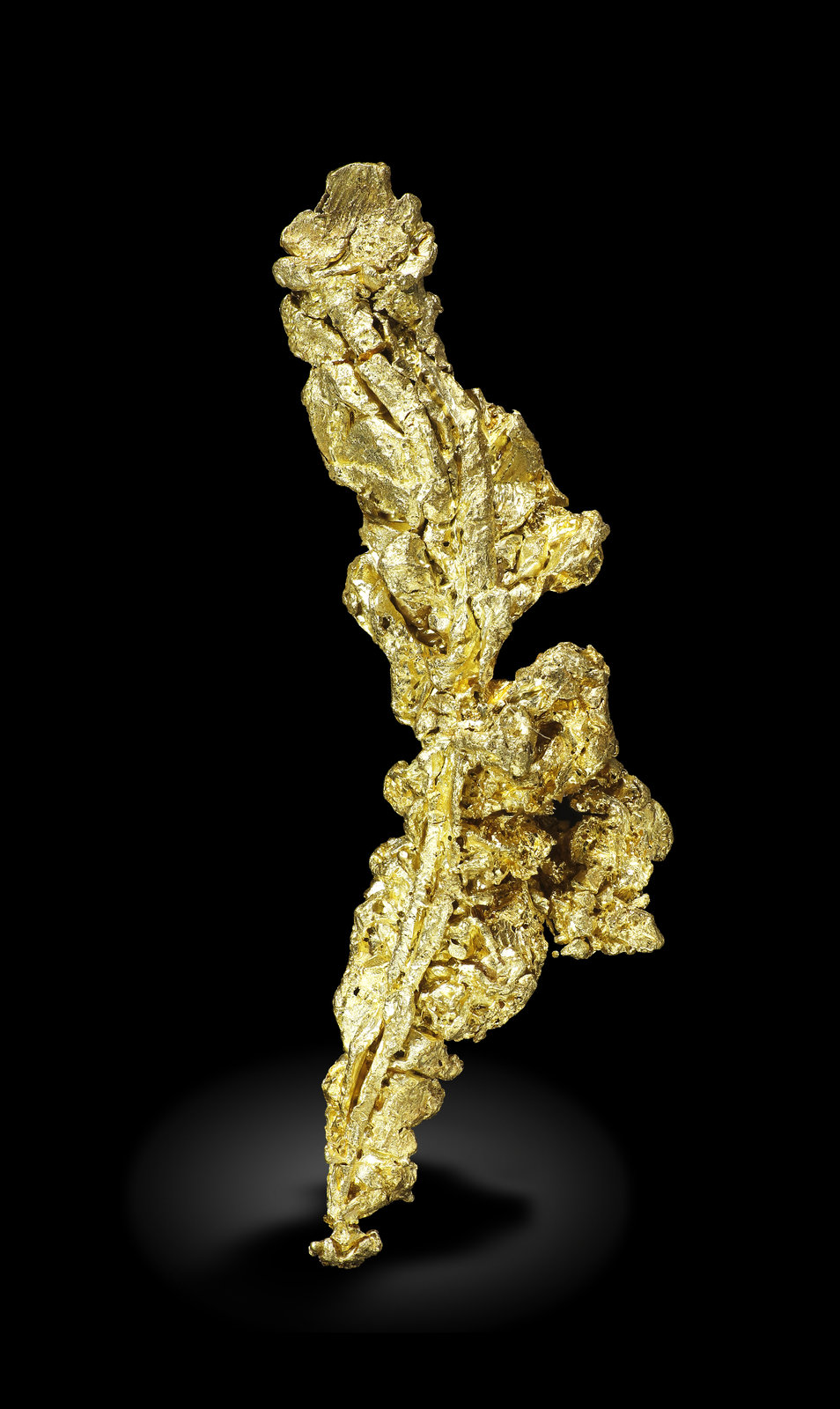 specimens/s_imagesAM5/Gold-MD49AM5_3220_r.jpg