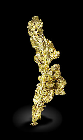 Gold (spinel twin). Rear / Photo: Joaquim Calln