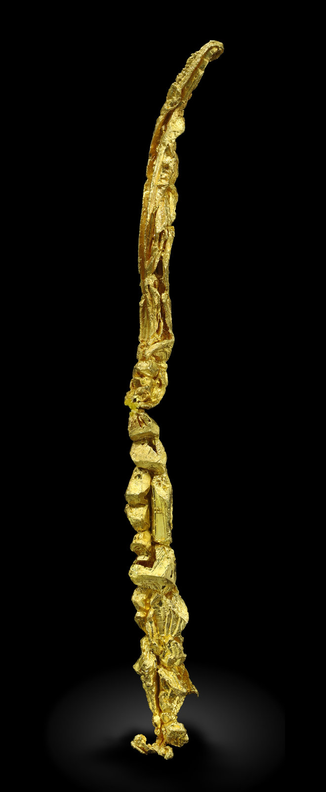 specimens/s_imagesAM5/Gold-ML12AM5_709_f.jpg